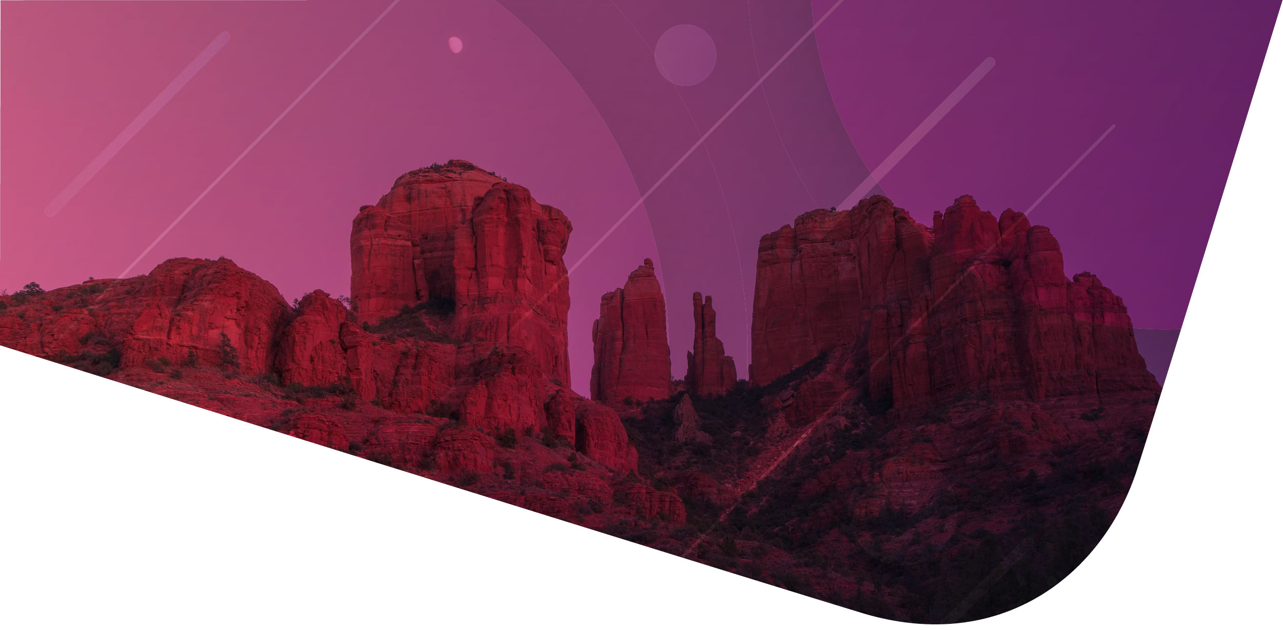 Sweetonomy - full service brand, marketing & web design