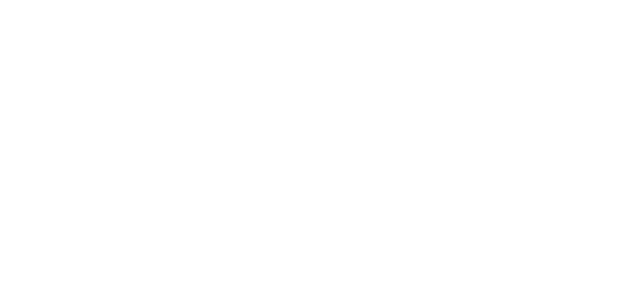 banner eximius