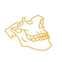 Ícone Estrutura maxila e mandibula
