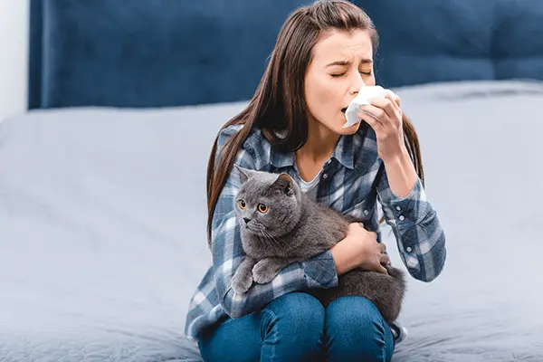 Causes of Allergies in Illinois
