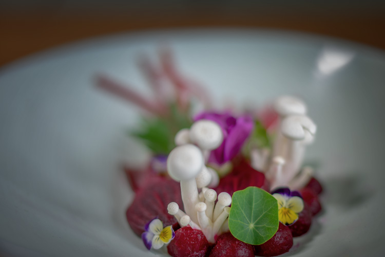 plating rote beete / pilzen / kapuzinerkresse