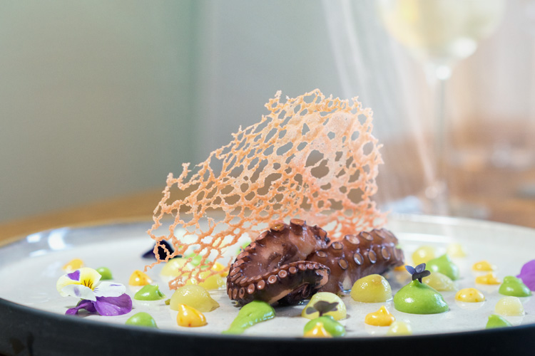 plating octopus / tuille / erbse