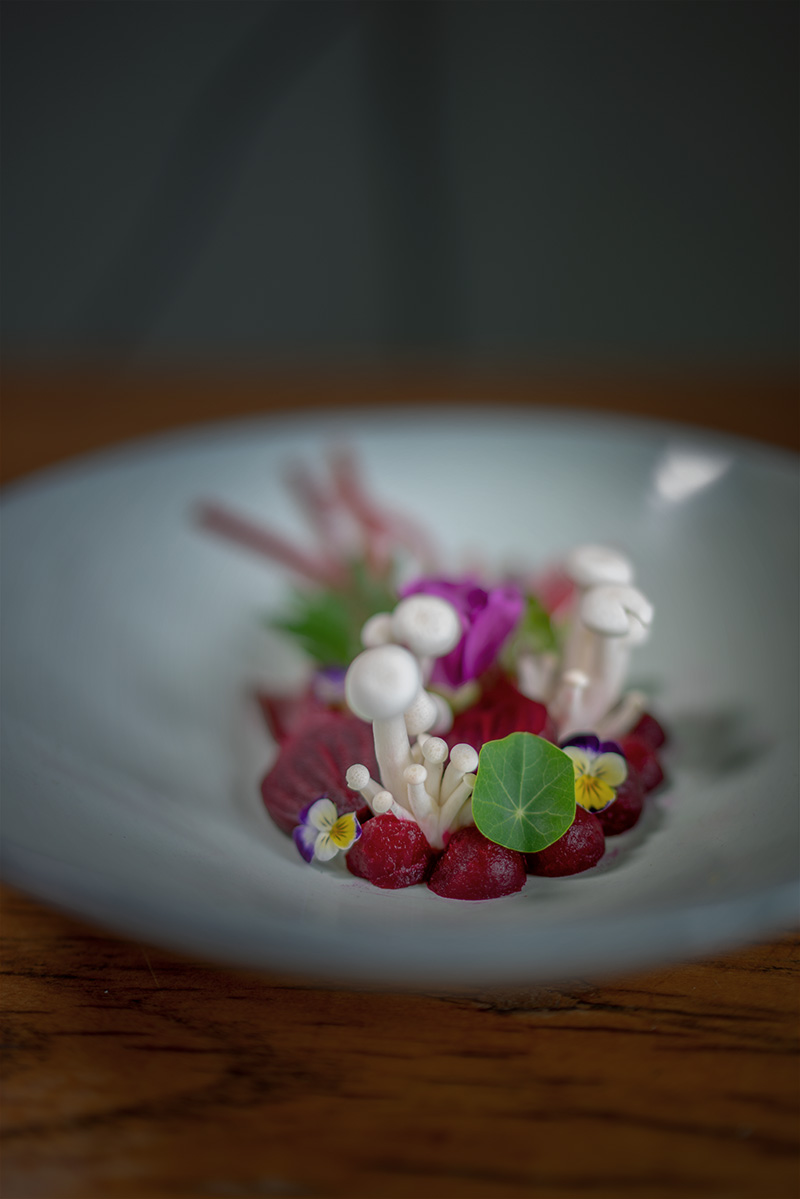 foto rote beete teller