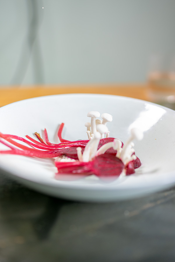 foto rote beete teller weiss
