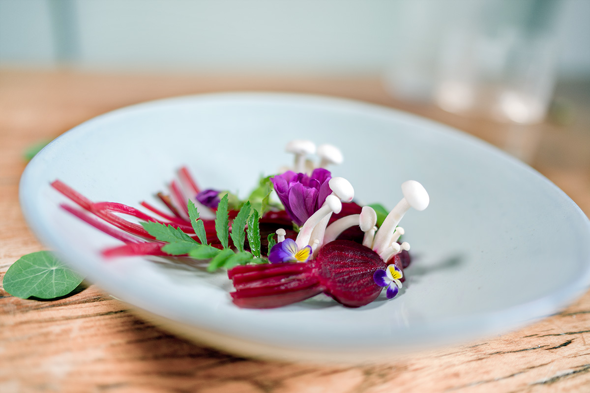 foto rote beete teller