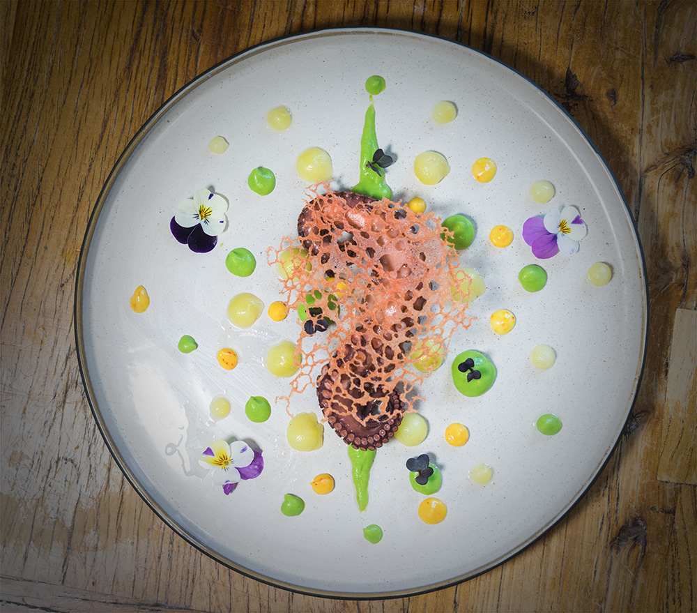 foto von octopus