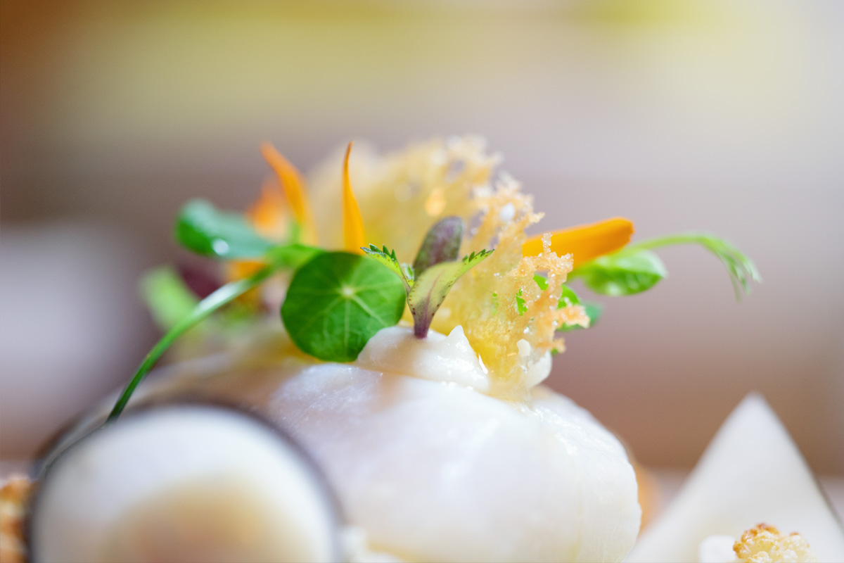 skrei plating detail