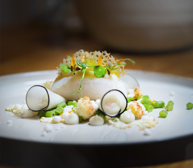 skrei rettich tuille