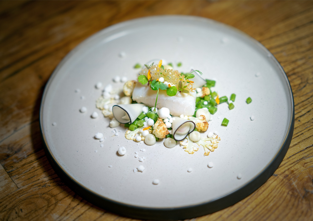 plating skrei auf hasami porcelain