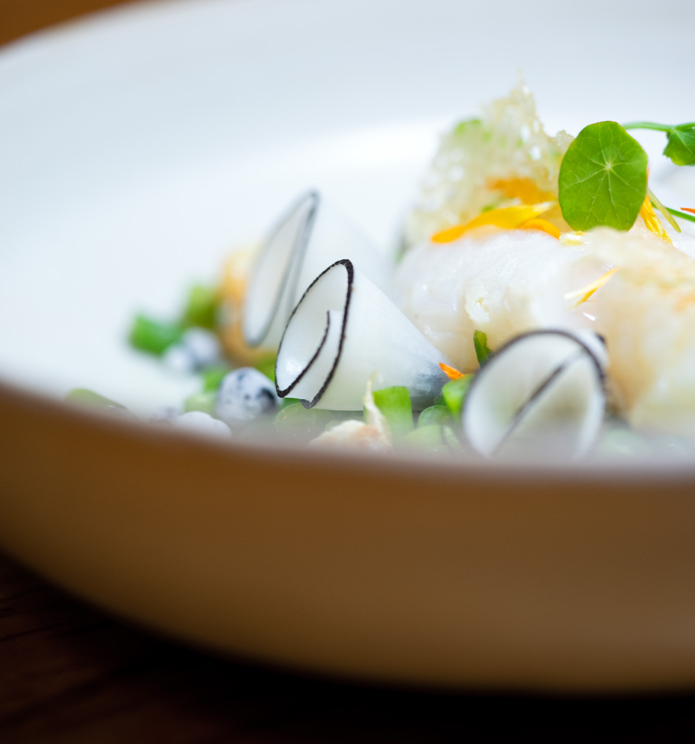 schale schwarzer rettich detail