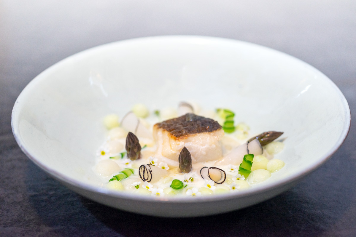 skrei plating detail