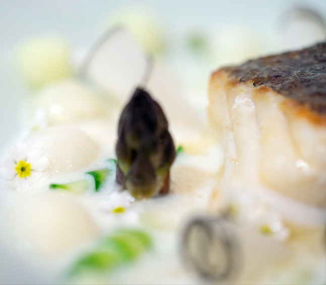 Detailfoto von Spargel und Skrei