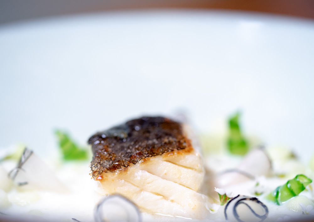 plating skrei auf hasami porcelain