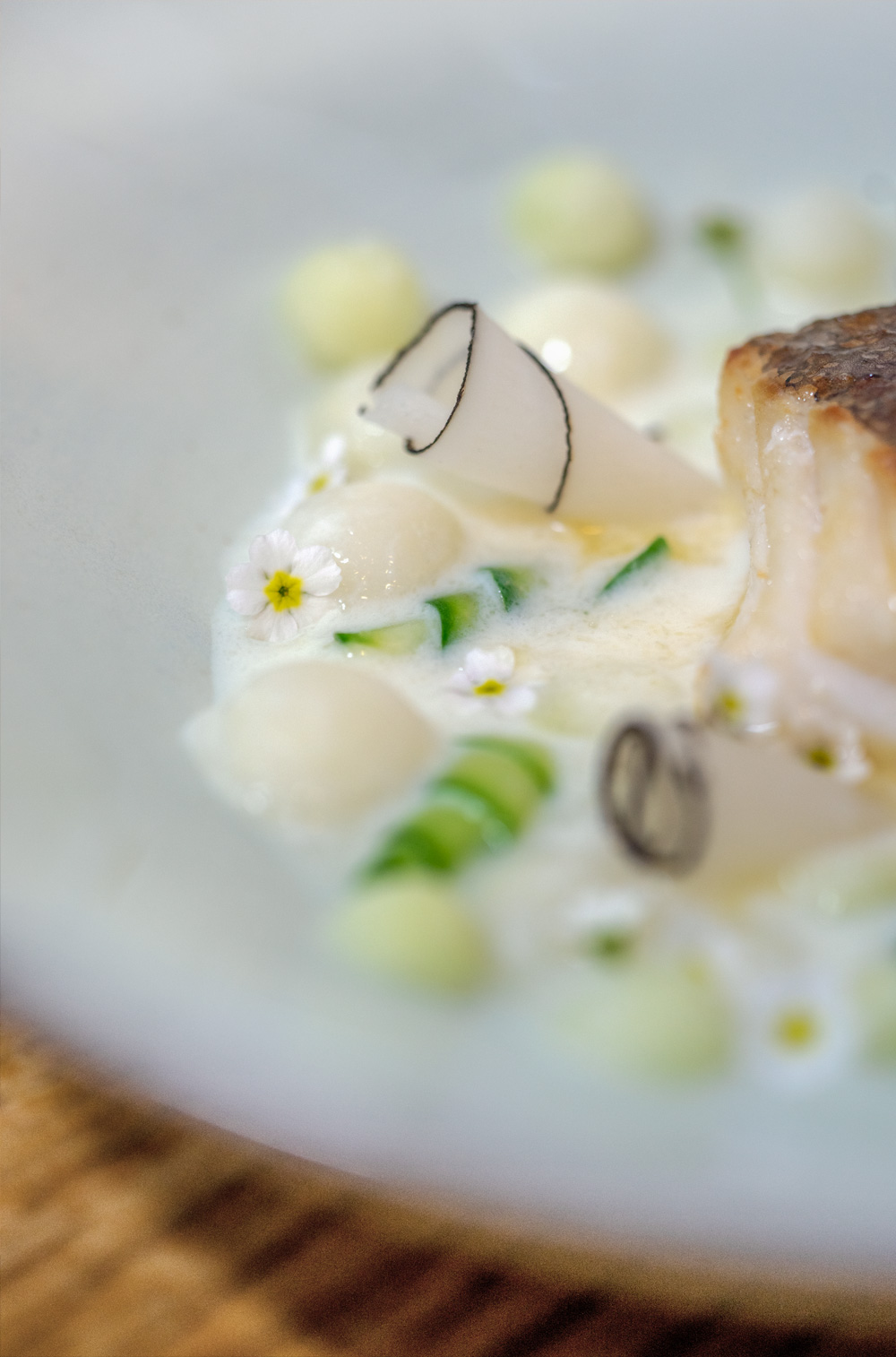 Makro von Schwarzem Rettich mit Gurke und Kohlrabi in Beurre Blanc