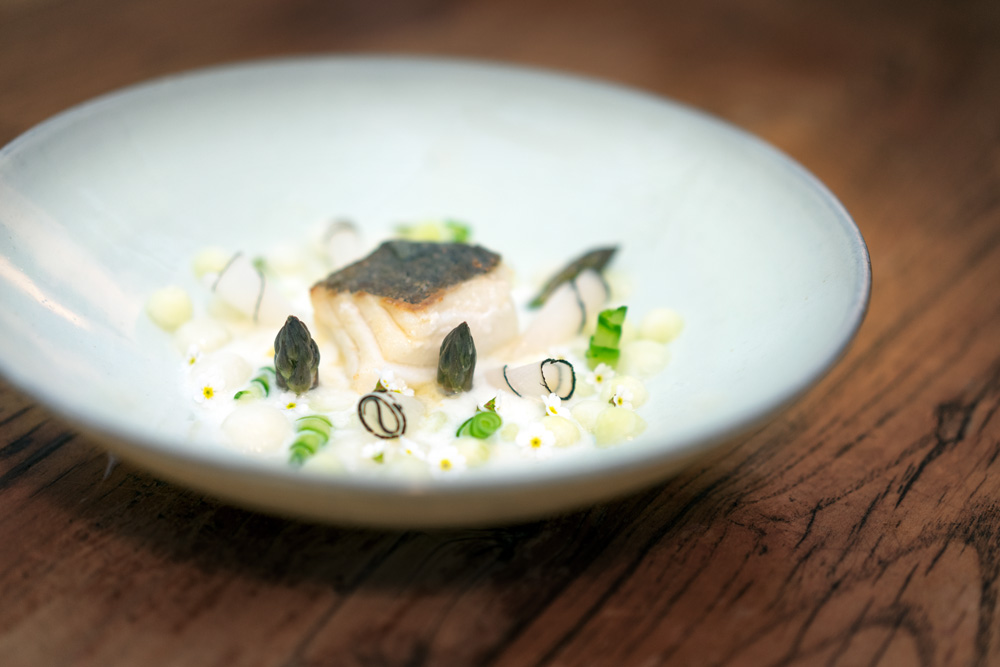 skrei detailaufnahme