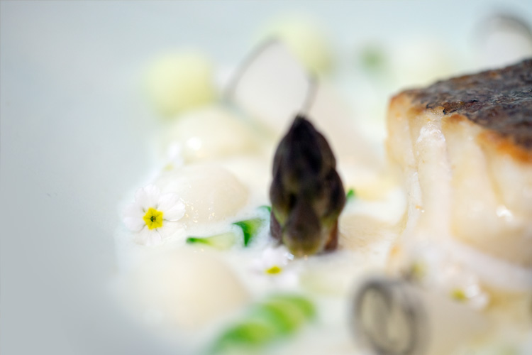 plating skrei / spargel / kohlrabi