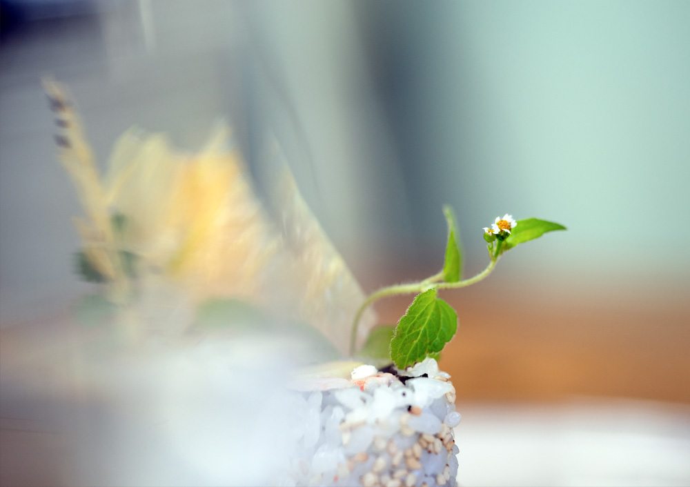 plating detail sushi