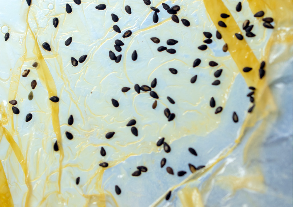 plating kräuter blätter