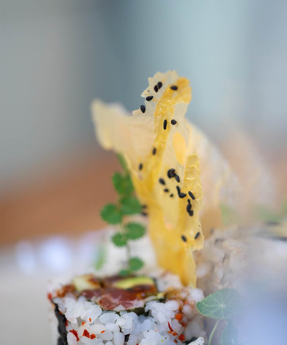 plating yuba chip soja