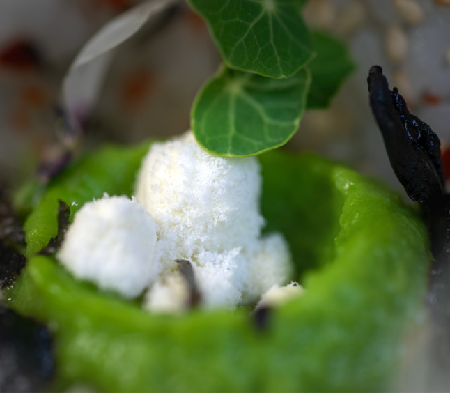 plating macro sushi