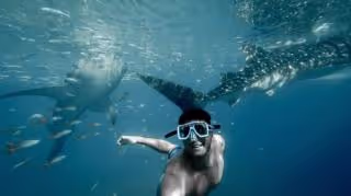 Snorkelling over the reef