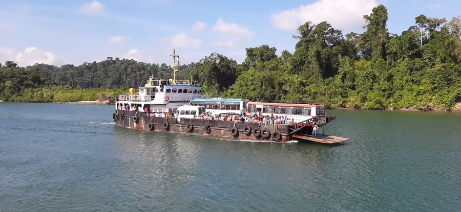 Baratang mangroves