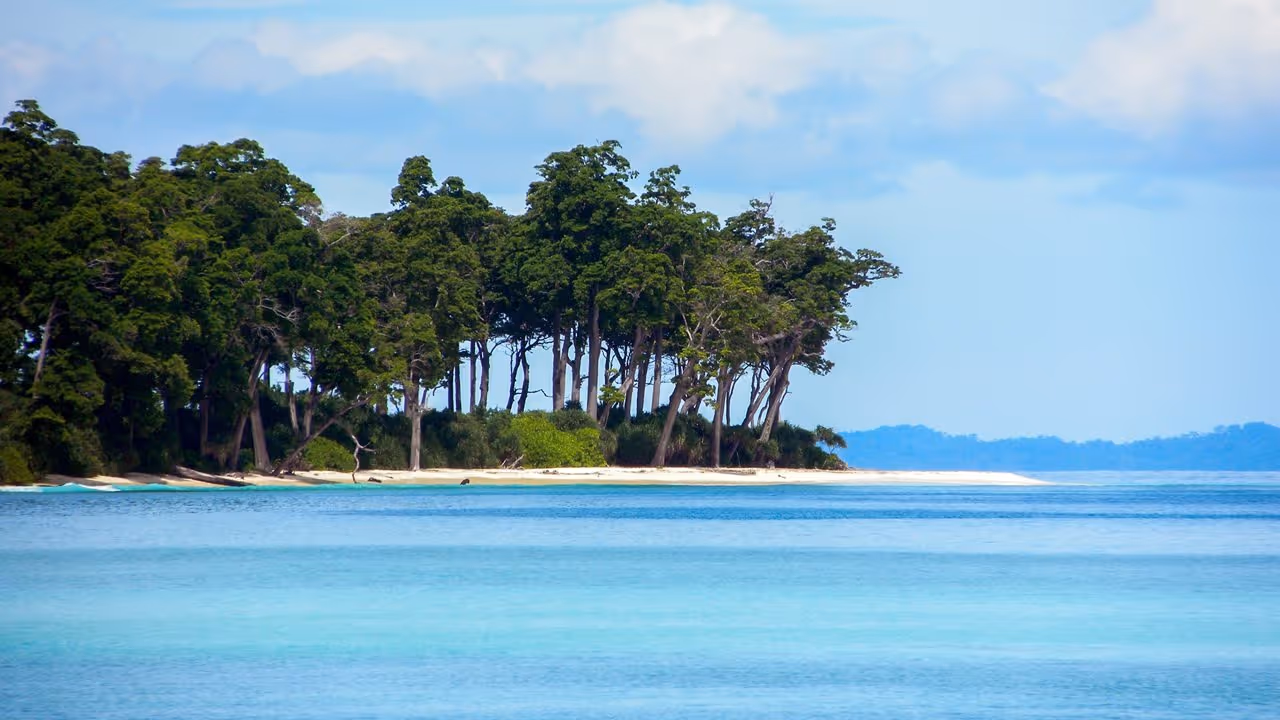 Shoreline and Forest of Neil Island (Shaheed Dweep)