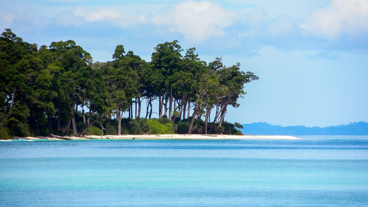 Shoreline and Forest of Neil Island (Shaheed Dweep)