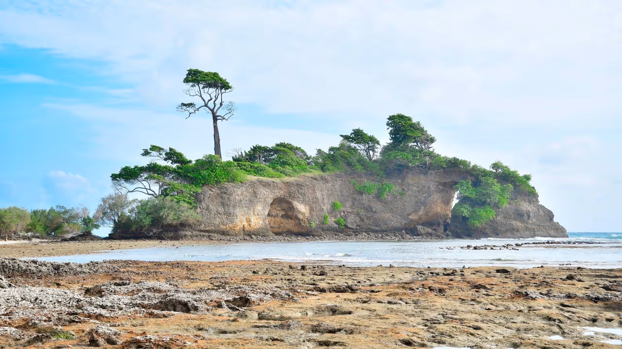 Photo of a small islet Close to Neil Island showing the landscape.
