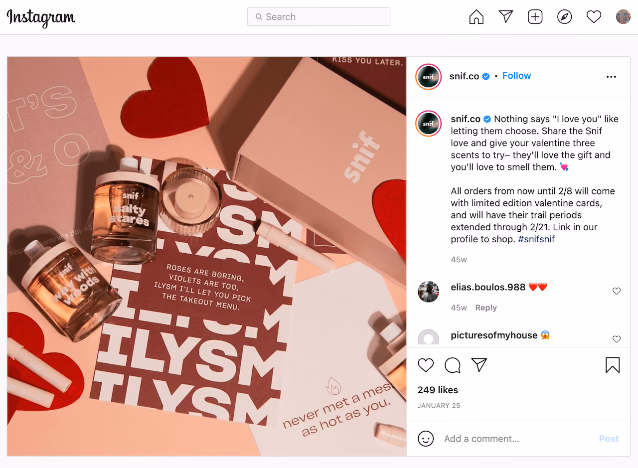Snif Valentine's Day Campaign Example