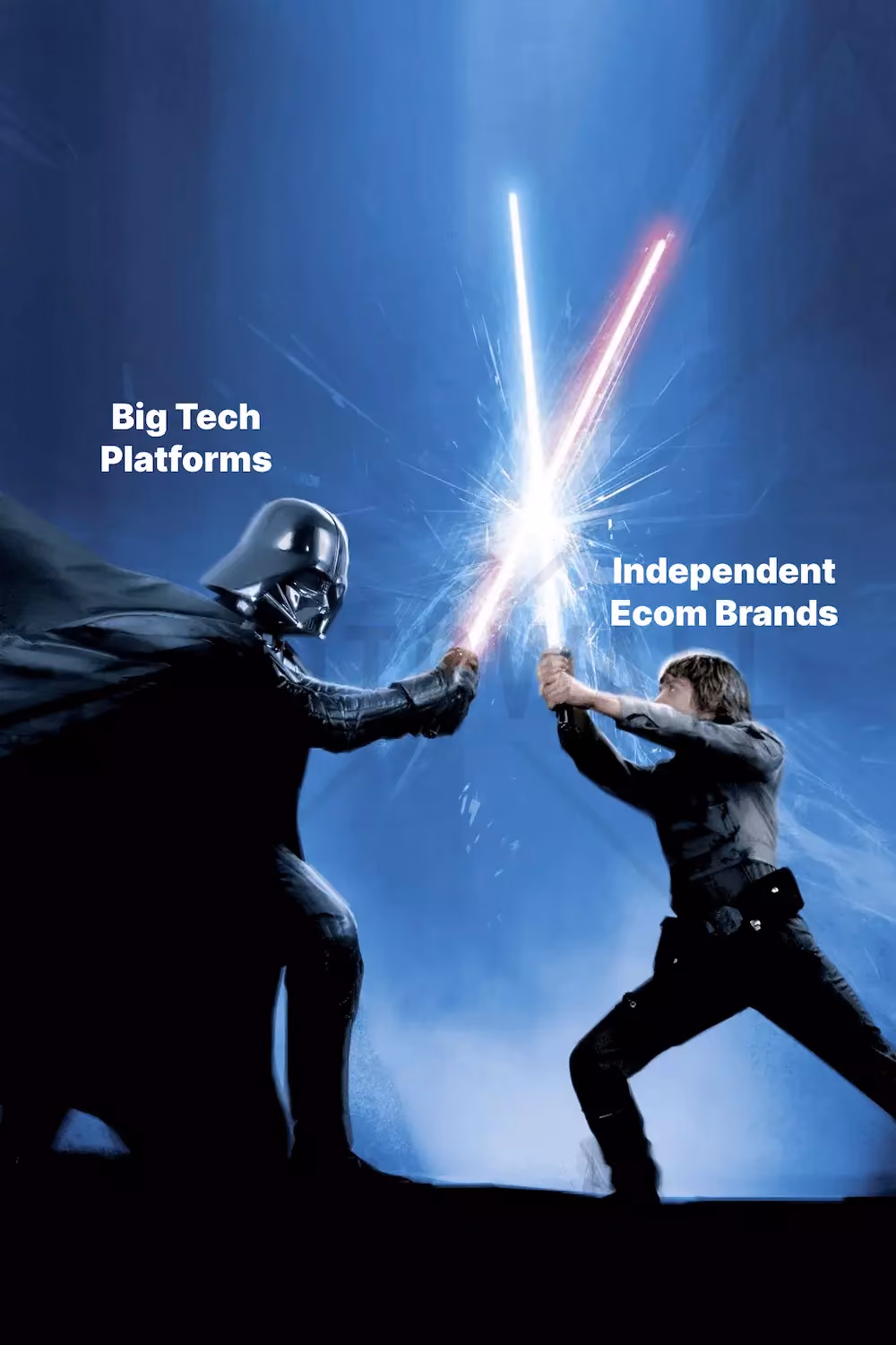 Big tech vs. ecommerce brands