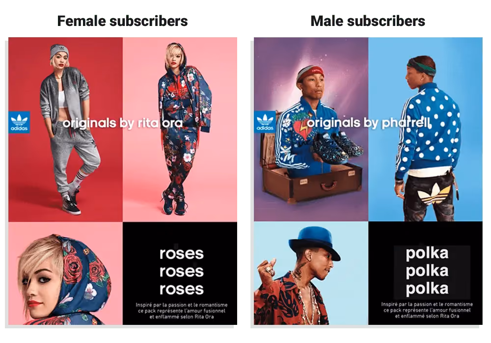 Adidas AMP email segmentation