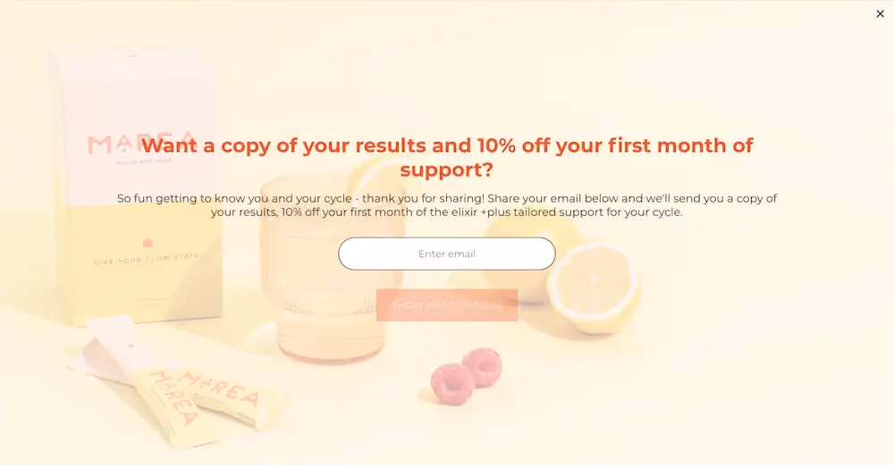 Email form at the end of the quiz that that reads, "Want a copy of your results and 10% off your first month of support?"