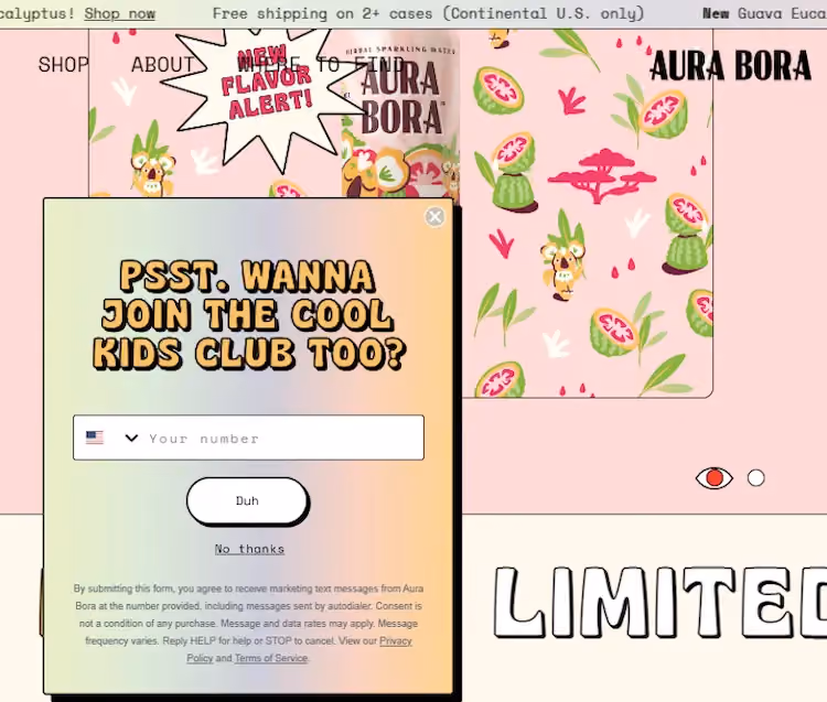 SMS popup on Aura Bora's website playing on status as encouragement to join