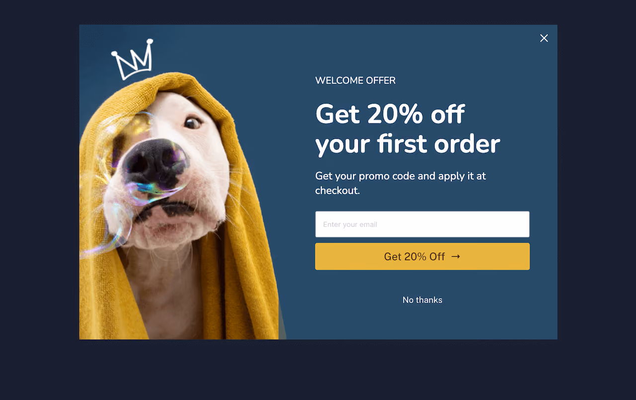 Pets Welcome Offer Popup Template