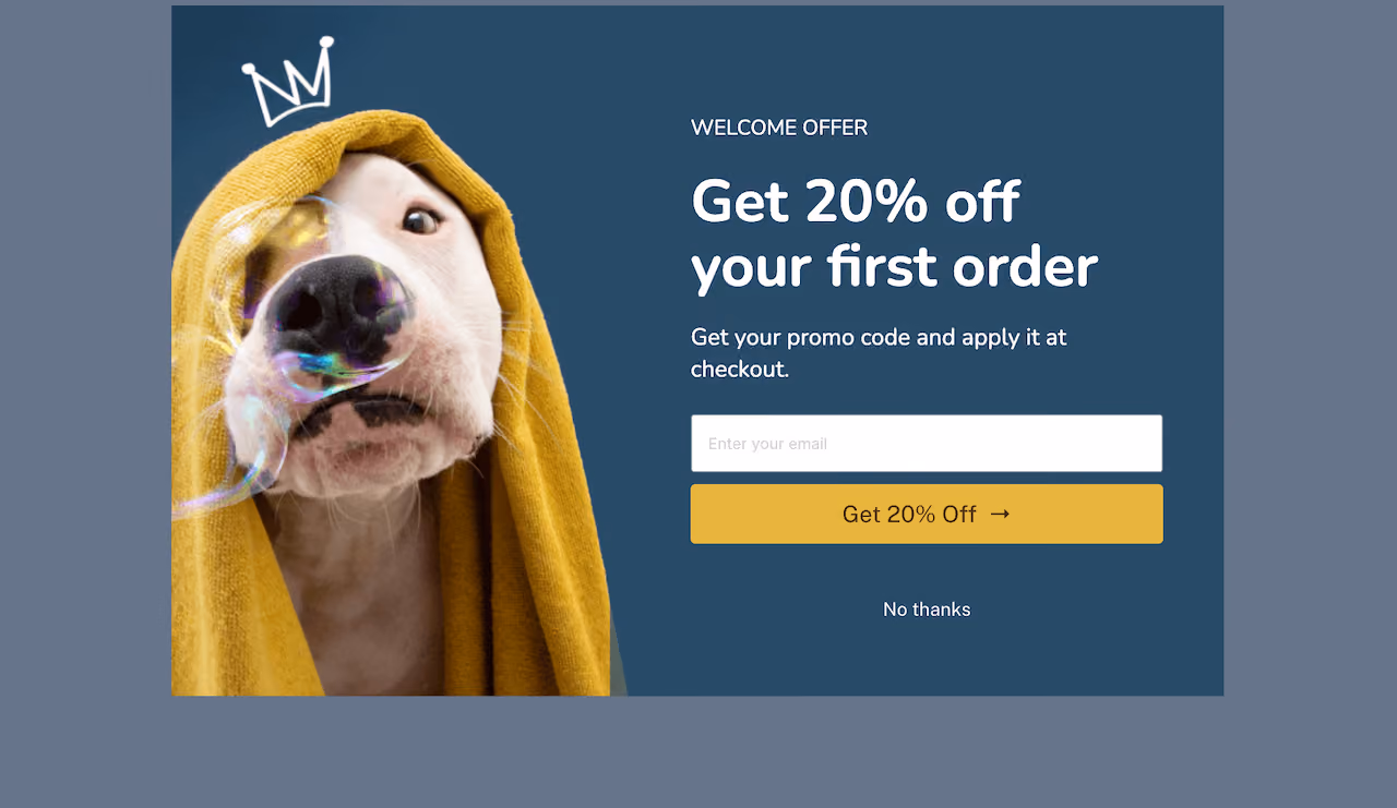 Pets Welcome Offer Embed Template