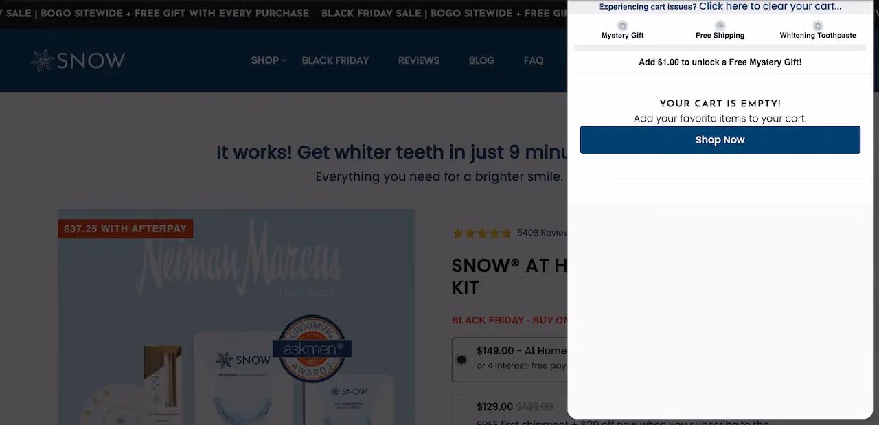 Snow Black Friday Shopping Cart Example