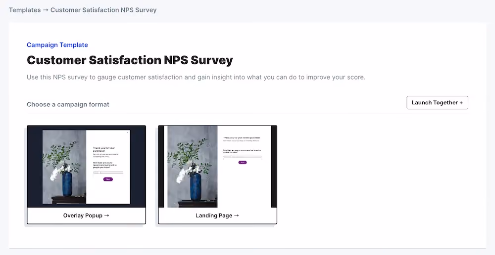 Campaign format options in ConvertFlow