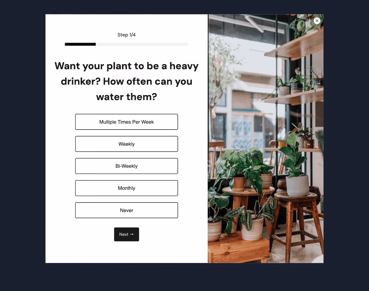 Plant Shop Quiz Popup Template