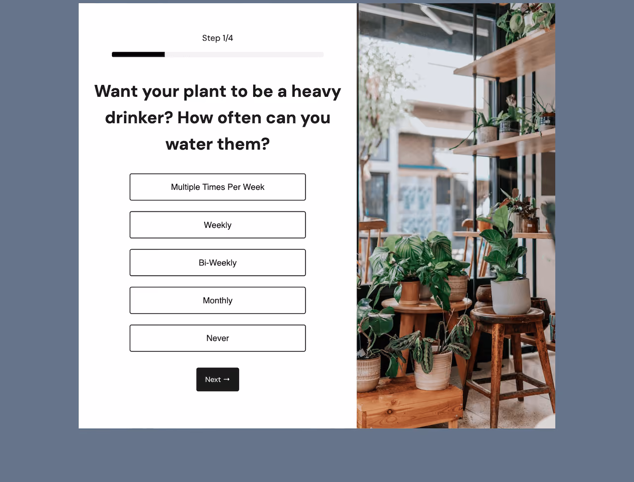 Plant Shop Quiz Embed Template