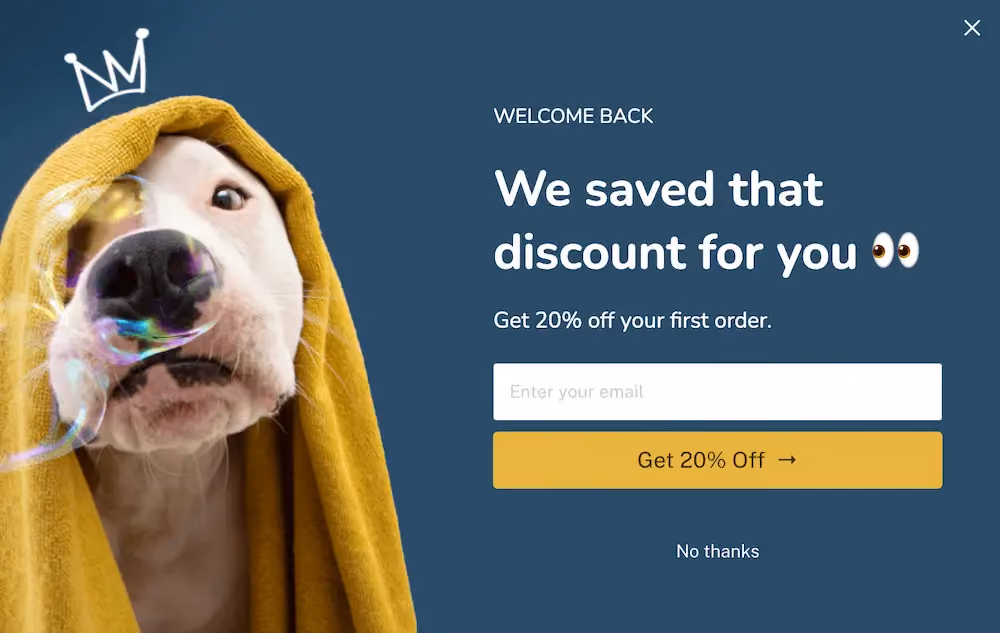 A popup for returning site visitors reads, "Welcome back. We saved that discount for you. Get 20% off your first order."