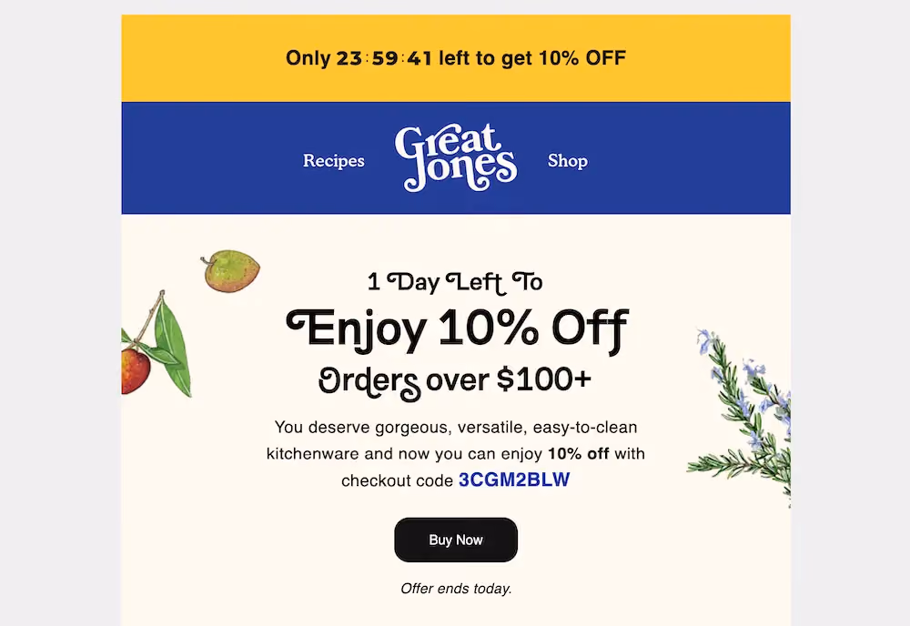 Great Jones' welcome email reminding subscribers that they have one day left to take advantage of their welcome offer.