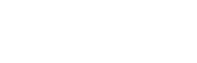 DSI Security logo