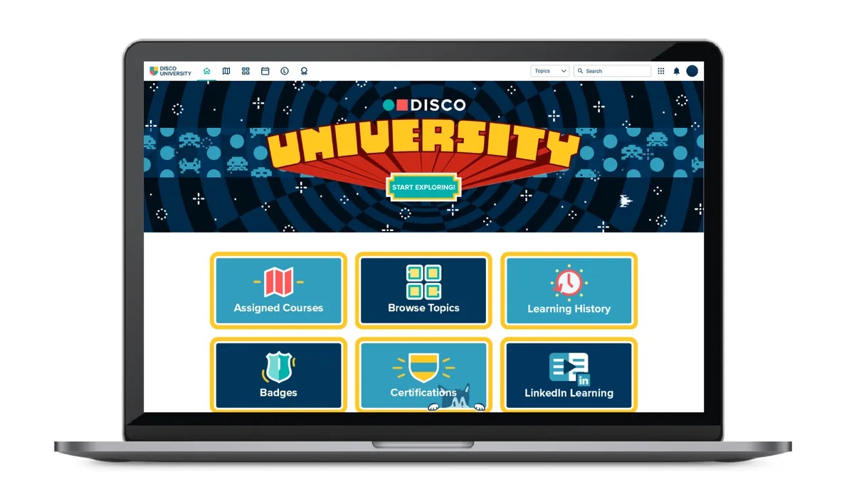 DISCO University
