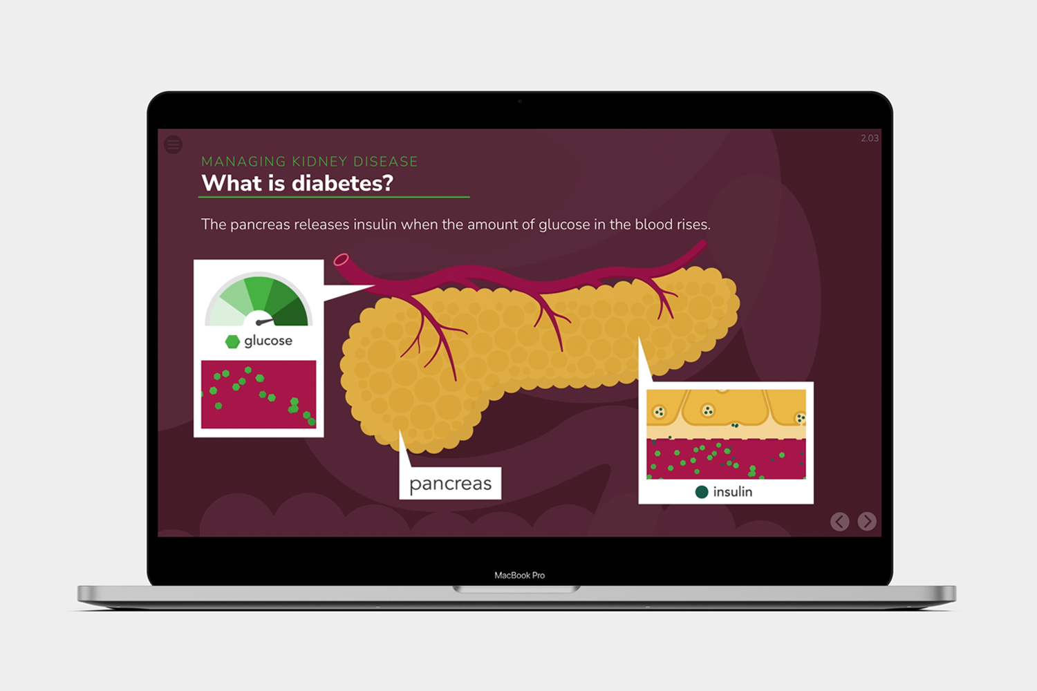 Kidney Disease Education