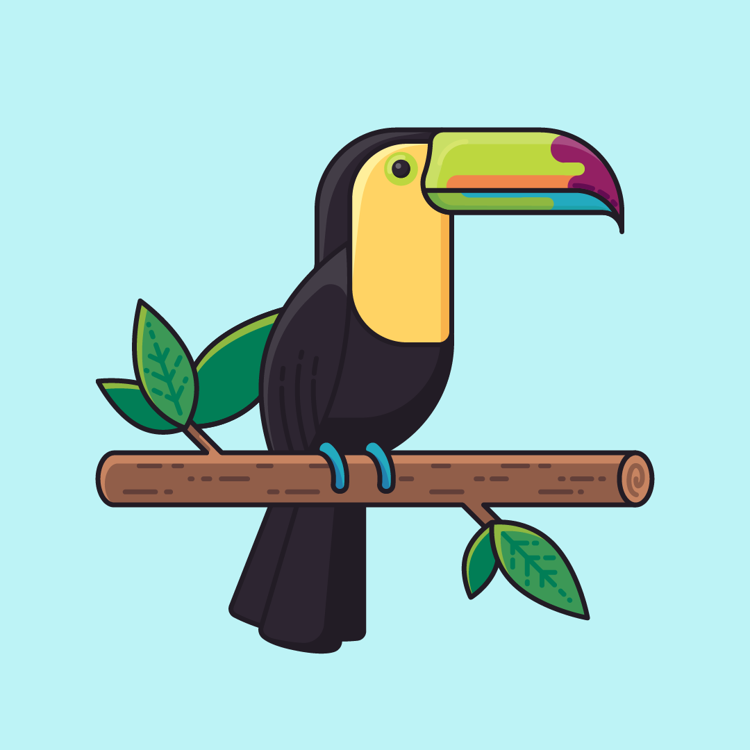toucan animation