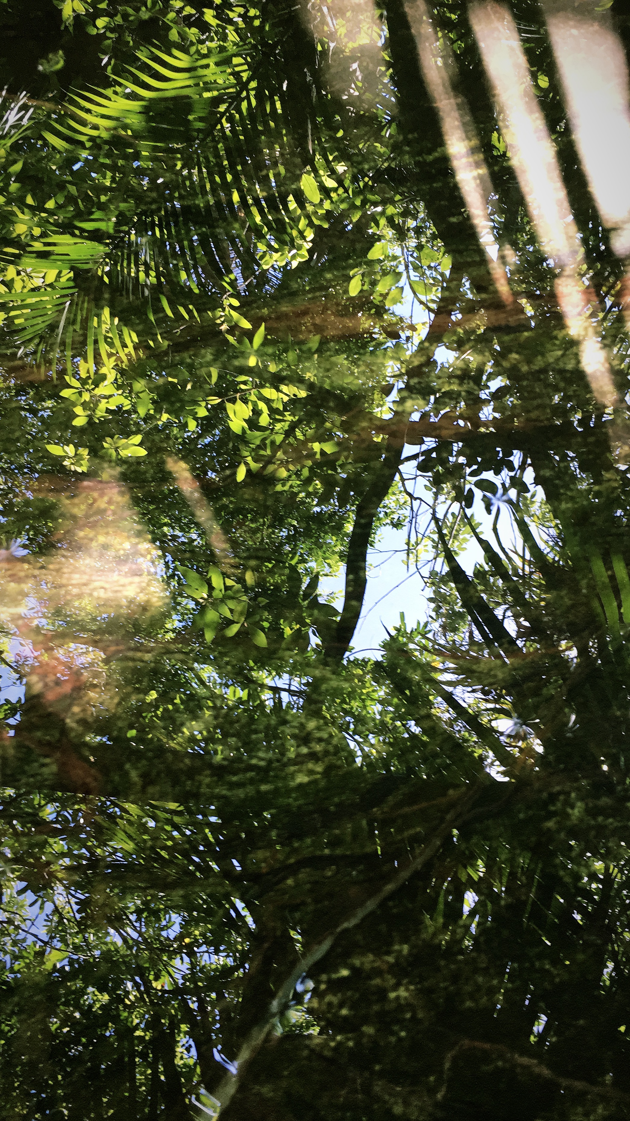 enchanting-transformation-water-treatment