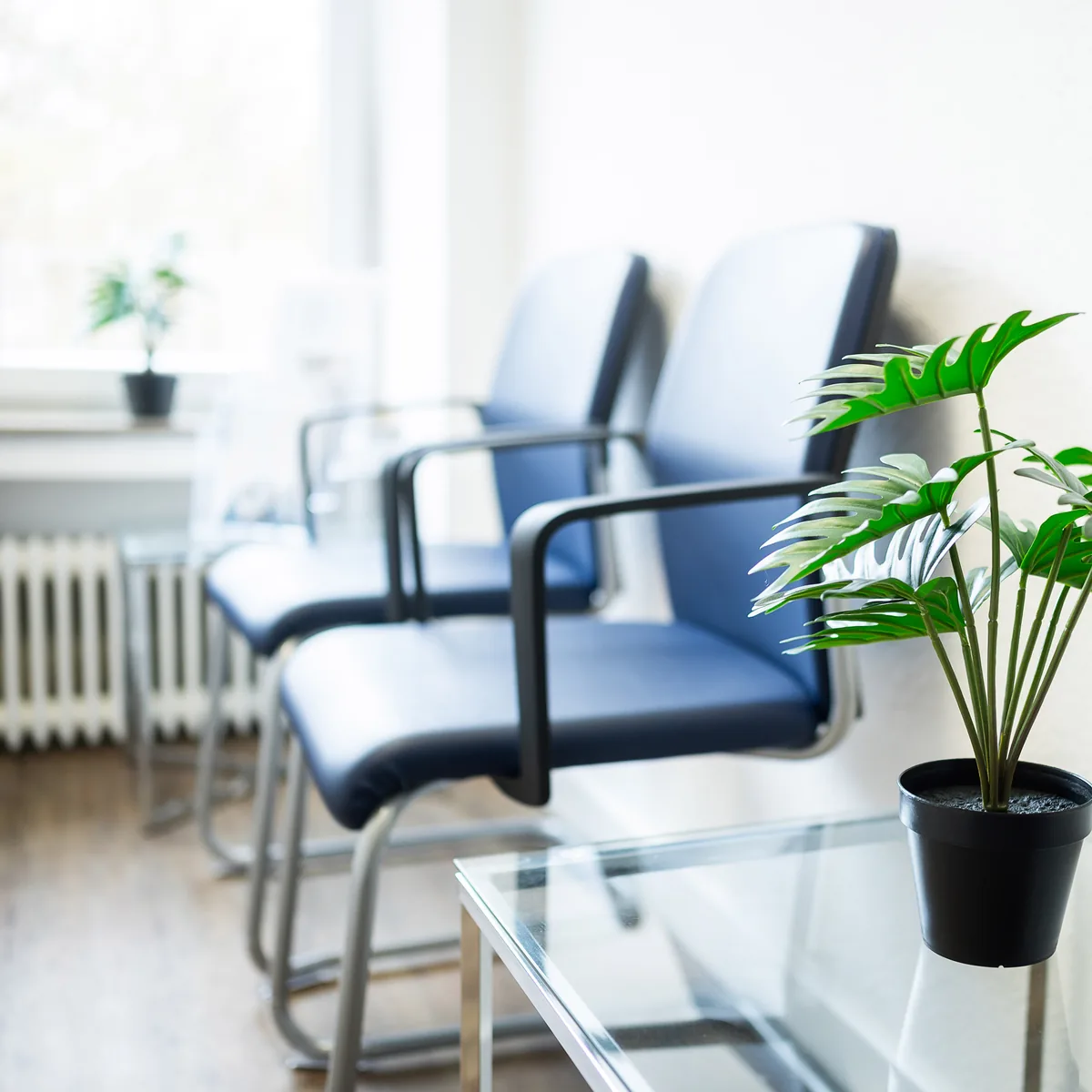 Wartebereich mit Pflanze – MAS Gesundheitszentrum Köln