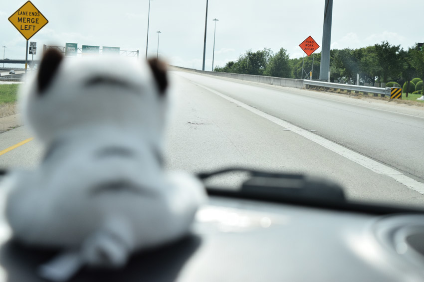 Perspective shot from inside the car