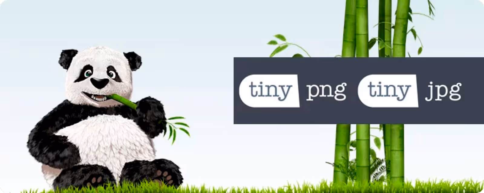Giam dung luong anh bang Tiny PNG
